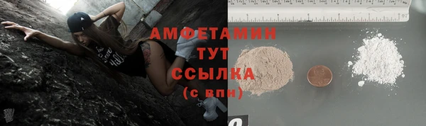 крисы Медвежьегорск