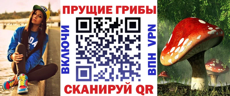 Галлюциногенные грибы мицелий  дарнет шоп  Певек 
